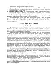 Europos sąjungos sprendimus priimančios institucijos ir jų paskirtis 7 puslapis