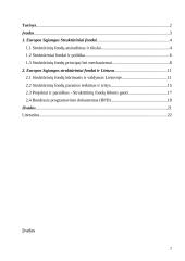 Europos Sąjungos Struktūrinių fondų lėšų skirstymo ypatumai 2 puslapis