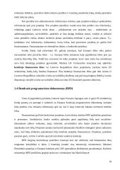 Europos Sąjungos Struktūrinių fondų lėšų skirstymo ypatumai 18 puslapis