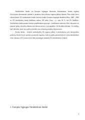 Europos Sąjungos Struktūrinių fondų lėšų skirstymo ypatumai 3 puslapis