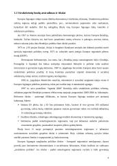 Europos Sąjungos Struktūrinių fondų lėšų skirstymo ypatumai 4 puslapis