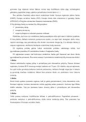 Europos Sąjungos Struktūrinių fondų lėšų skirstymo ypatumai 5 puslapis