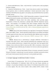 Europos Sąjungos Struktūrinių fondų lėšų skirstymo ypatumai 10 puslapis