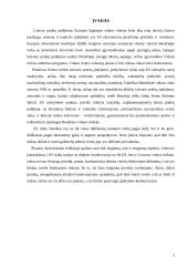 Europos Sąjungos vidaus rinka 2 puslapis