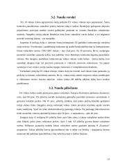 Europos Sąjungos vidaus rinka 13 puslapis