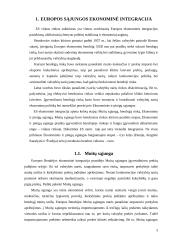 Europos Sąjungos vidaus rinka 3 puslapis