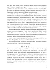 Europos Sąjungos vidaus rinka 4 puslapis