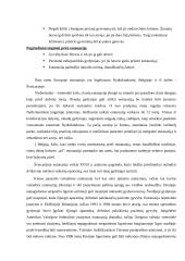 Nuomonė apie eutanaziją 5 puslapis