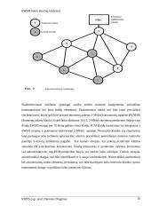 EWSD tinklo aliarmų valdymas 12 puslapis