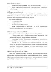 EWSD tinklo aliarmų valdymas 8 puslapis