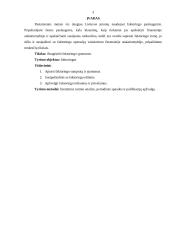 Faktoringas ir faktoringo ypatumai 3 puslapis