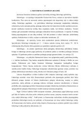 Faktoringas ir faktoringo ypatumai 4 puslapis