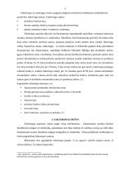 Faktoringas ir faktoringo ypatumai 5 puslapis