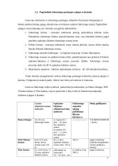 Faktoringo operacijos 17 puslapis