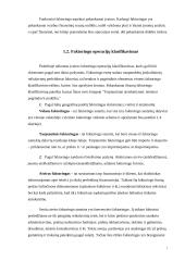 Faktoringo operacijos 7 puslapis