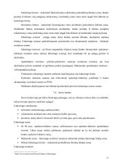 Faktoringo paslaugos Lietuvoje 11 puslapis