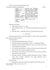 Faktoringo paslaugos Lietuvoje 9 puslapis