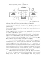 Faktoringo paslaugų taikymas 13 puslapis
