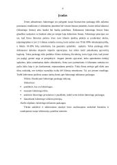 Faktoringo paslaugų taikymas 4 puslapis