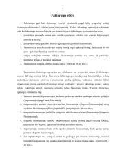 Faktoringo paslaugų taikymas 7 puslapis