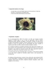 Farmakognozija 13 puslapis