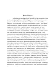 Fašizmo istorija 2 puslapis