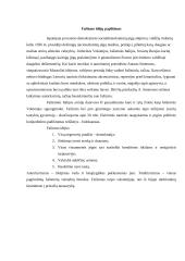 Fašizmo istorija 4 puslapis