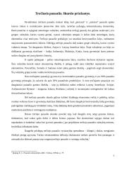 Fernando Braudelio pasaulio ekonomikos koncepcija ir trečiasis pasaulis 4 puslapis