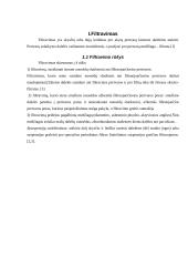 Filtravimo proceso prasmė, filtrų klasifikacija 3 puslapis