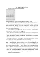 Filtravimo proceso prasmė, filtrų klasifikacija 4 puslapis