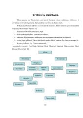Filtravimo proceso prasmė, filtrų klasifikacija 8 puslapis