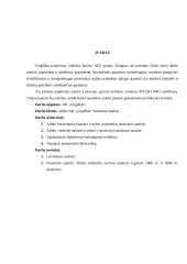 Finansinė analizė: AB "Grigiškės" 2 puslapis