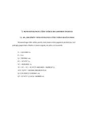 Finansinė analizė: AB "Grigiškės" 16 puslapis