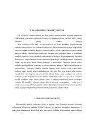 Finansinė analizė: AB "Grigiškės" 3 puslapis