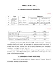 Finansinė analizė: UAB "Preventa" 7 puslapis