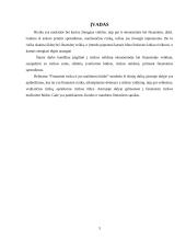 Finansinė rizika. Finansinės rizikos mažinimo būdai 2 puslapis