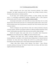 Finansinė rizika. Finansinės rizikos mažinimo būdai 12 puslapis