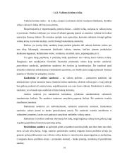 Finansinė rizika. Finansinės rizikos mažinimo būdai 13 puslapis