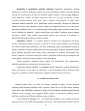 Finansinė rizika. Finansinės rizikos mažinimo būdai 14 puslapis