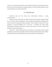 Finansinė rizika. Finansinės rizikos mažinimo būdai 15 puslapis