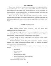 Finansinė rizika. Finansinės rizikos mažinimo būdai 17 puslapis