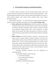 Finansinė rizika. Finansinės rizikos mažinimo būdai 19 puslapis