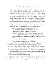 Finansinė rizika. Finansinės rizikos mažinimo būdai 20 puslapis