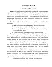 Finansinė rizika. Finansinės rizikos mažinimo būdai 3 puslapis