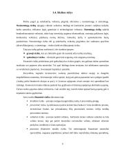 Finansinė rizika. Finansinės rizikos mažinimo būdai 8 puslapis