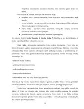 Finansinė rizika. Finansinės rizikos mažinimo būdai 9 puslapis