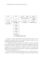 Finansinio planavimo samprata ir reikšmė įmonės veiklai 10 puslapis