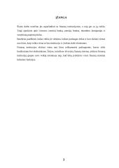 Finansų institucijos 3 puslapis
