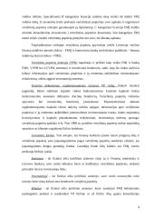 Finansų maklerio įmonių veikla Lietuvoje 4 puslapis