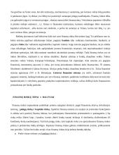 Finansų rinkos samprata ir jos dalyviai 2 puslapis